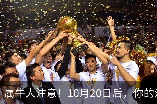属牛人注意！10月20日后，你的清闲日子要暂时叫停了